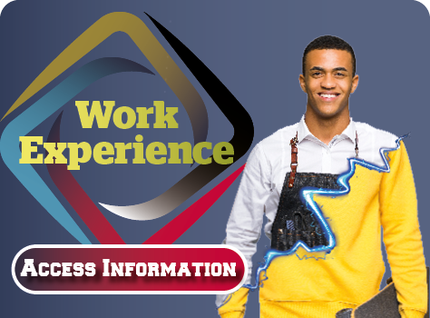 Work Experience