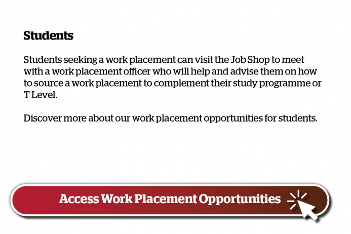 student work experience text