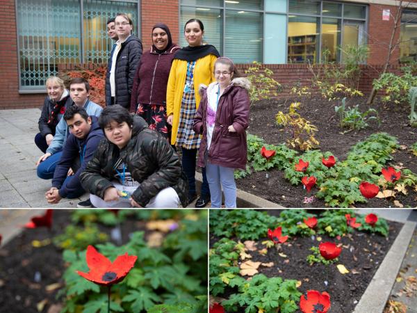 Poppies News Story Nov18