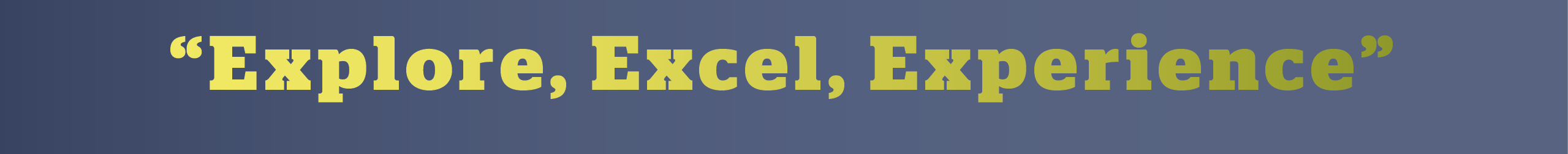 work experience: excel, explore and experience